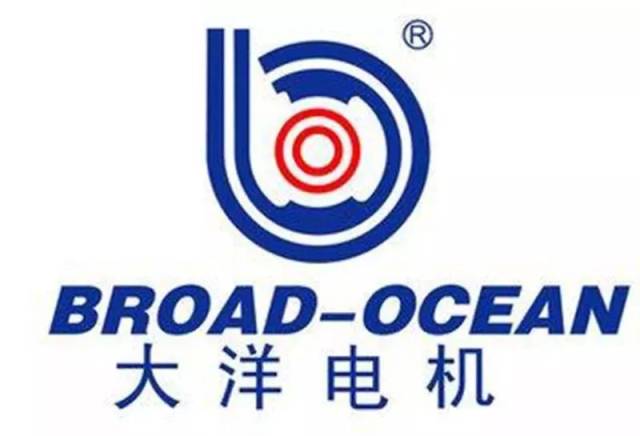 知名新能源汽车电机供应商