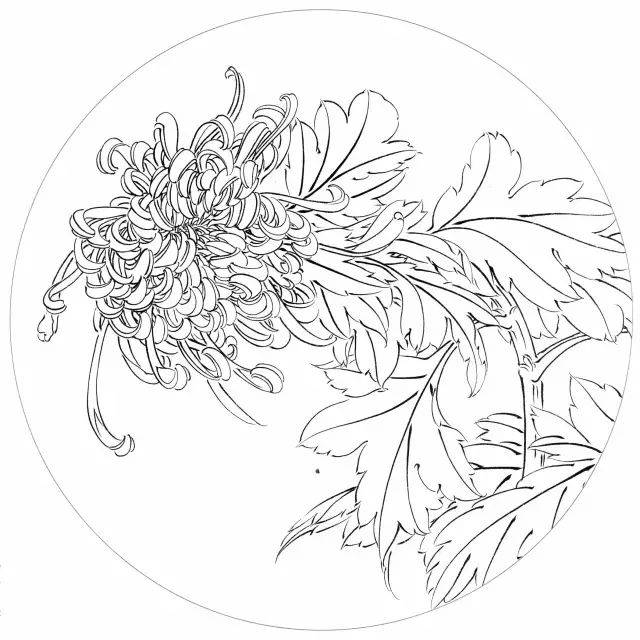 吉祥寓意花鸟白描欣赏