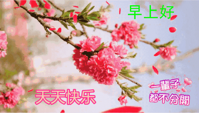 2018最新最美早上好表情动态图 特别漂亮早上好动态表情图片