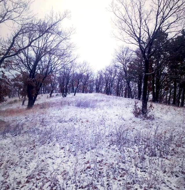 2018年克东的第一场雪,早上上班一定要穿棉裤