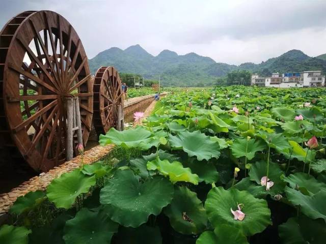 位于"荷美覃塘"的核心区位于广西贵港市覃塘区覃塘镇,规划建设面积