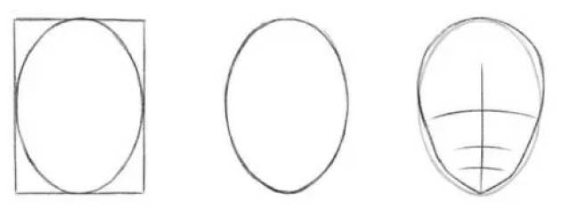 ①先画一个长方形。②在长方形里找椭圆,绘制一个椭圆形。③确定脸的轮
