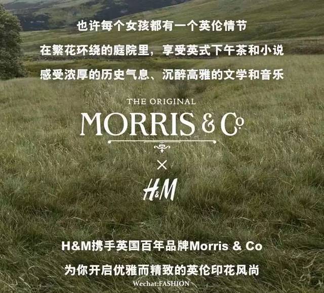 那么清新优雅的印花系绝对值得考虑,h&m和英国家饰品牌morris & co