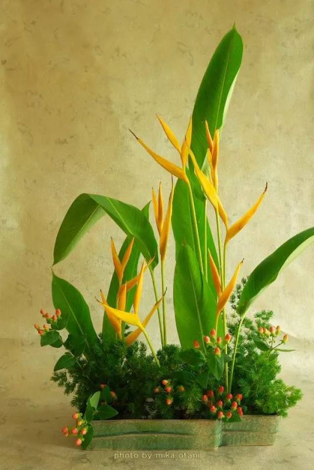 以日本传统花材为主, 菊花,蝎尾蕉,「丹顶疯狂豆」葱花,梅花