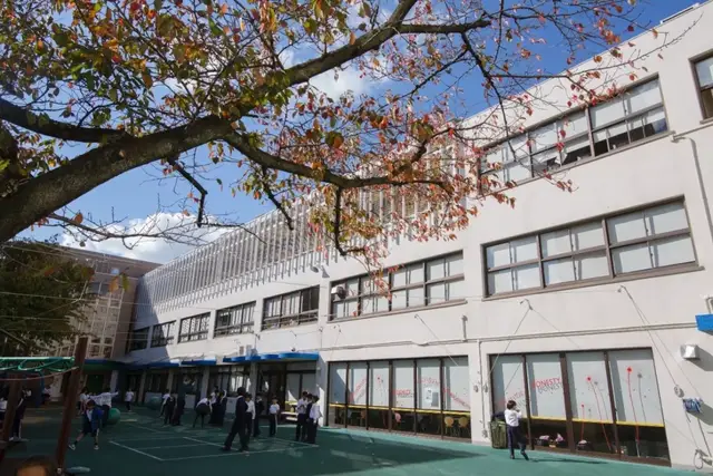 wells international school