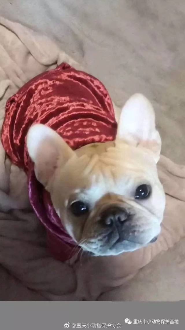 行走的人民币。