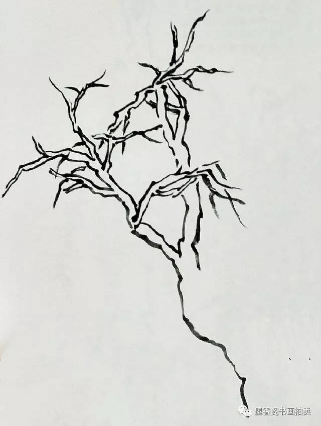 国画入门技法:柳树的画法,虽很常见,但你能画好吗?