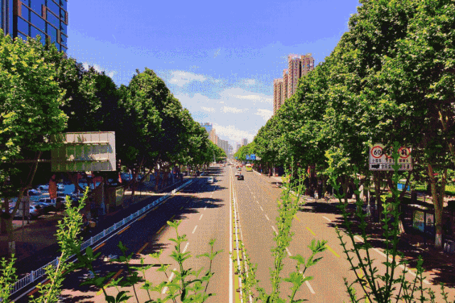 洛阳最新城市规划信息大全来啦!快看看有哪些变化!