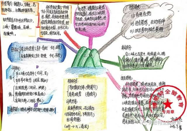 《唯一的听众》  博思特学员思维导图作品《藤野先生》