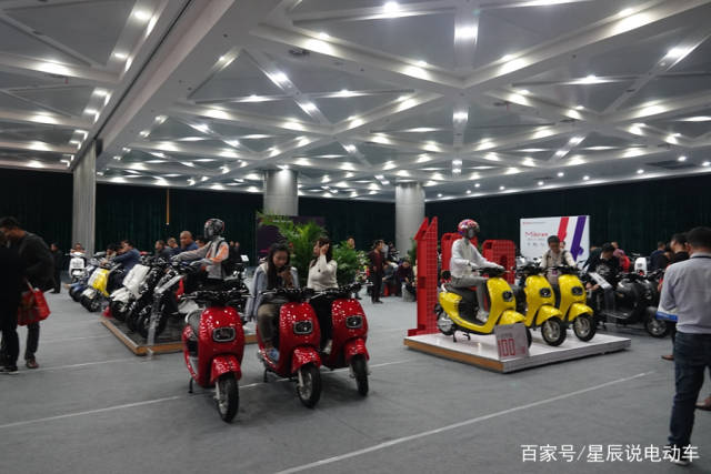小罗纳尔多,温碧霞,王二妮,黄安,干露露助阵南京电动车展会!