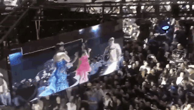 小罗纳尔多,温碧霞,王二妮,黄安,干露露助阵南京电动车展会!