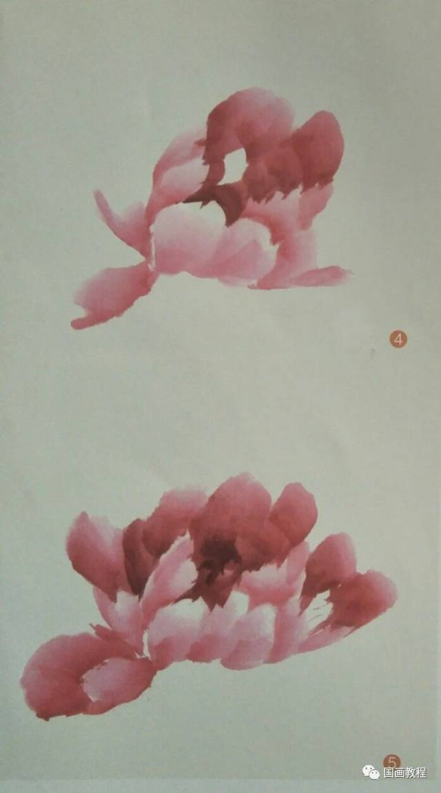 【国画教程】第6课,牡丹不同姿态花头的画法