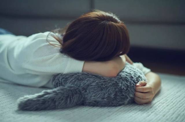 什么日本猫这么好撸?不掉毛,不铲屎,动物过敏