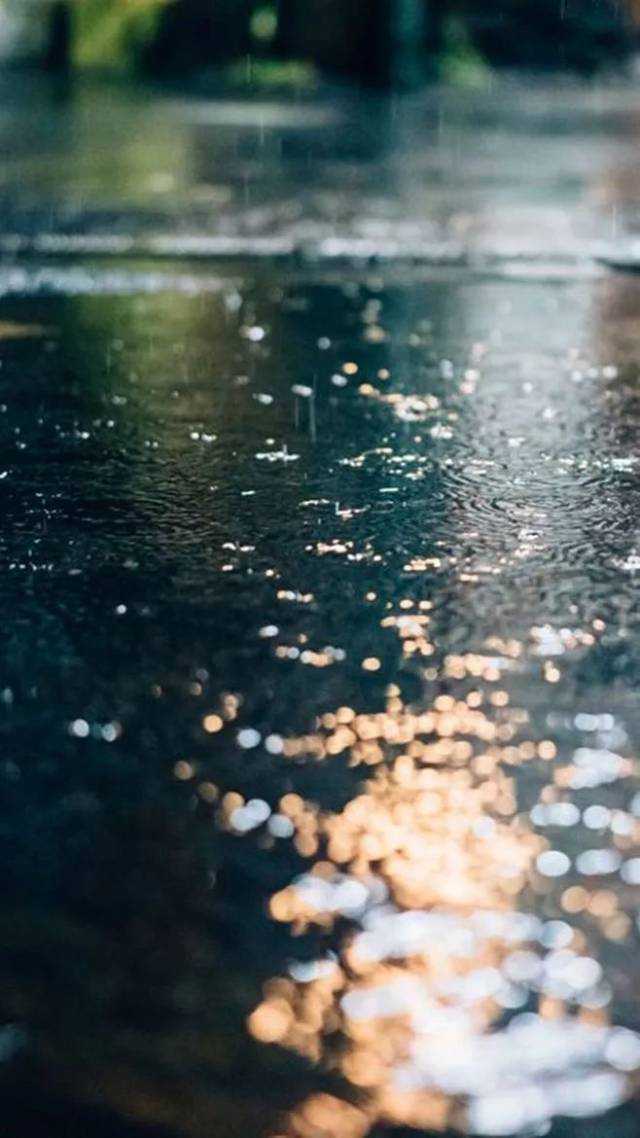 秋夜,有雨敲窗.