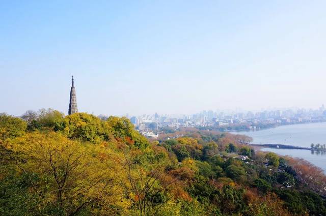 宝石山秋景(往年)