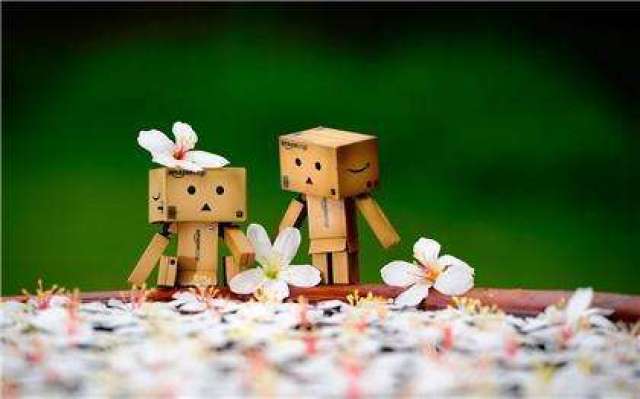 太阳巨蟹+金星处女,偏执较真的配置