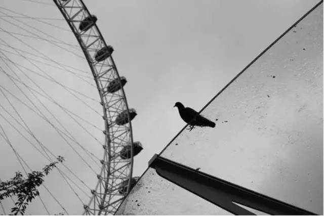 胡歌：我开始学拍照就是为了泡妞