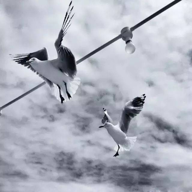 胡歌：我开始学拍照就是为了泡妞