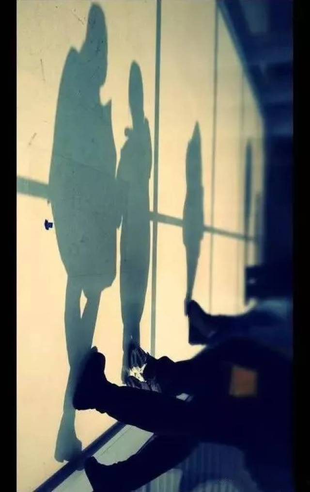 胡歌：我开始学拍照就是为了泡妞