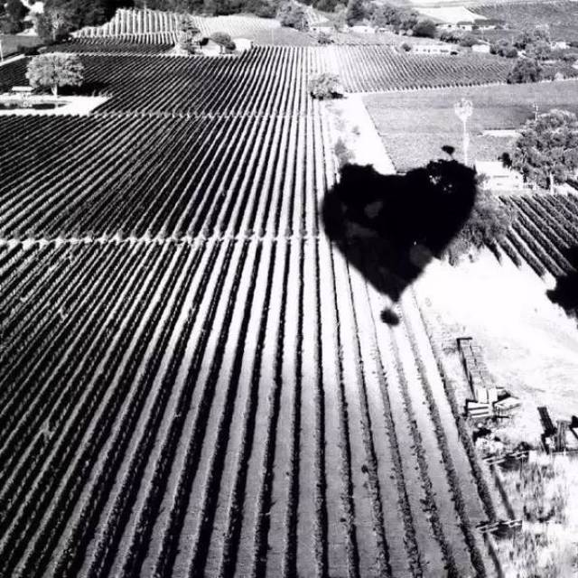 胡歌：我开始学拍照就是为了泡妞