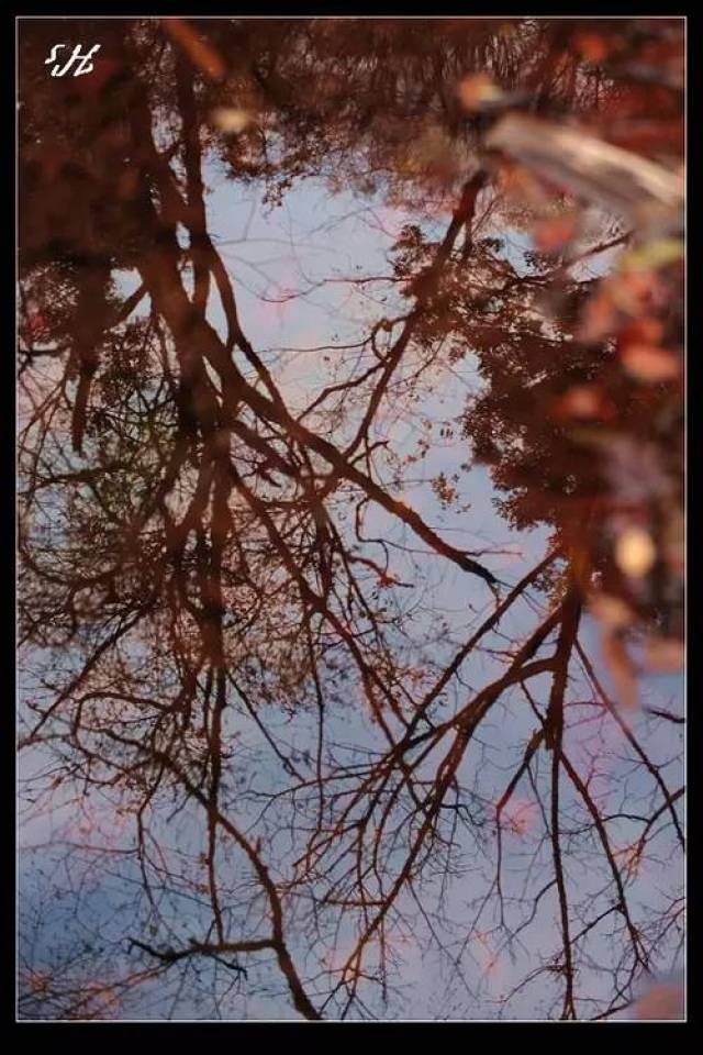 胡歌：我开始学拍照就是为了泡妞