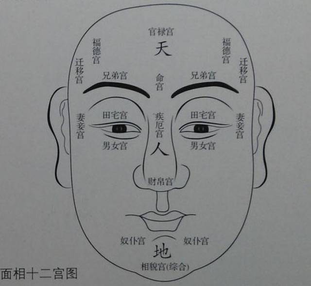 《麻衣神相》十二宫,五岳四渎详解,值得收藏哦!