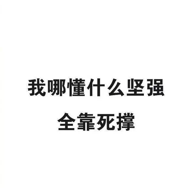 文字背景图:看我朋友圈又不撩我,你咋这么怂?