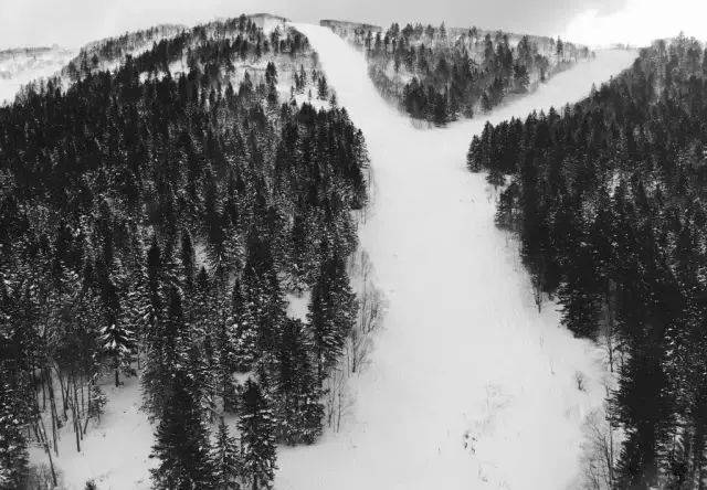 胡歌：我开始学拍照就是为了泡妞