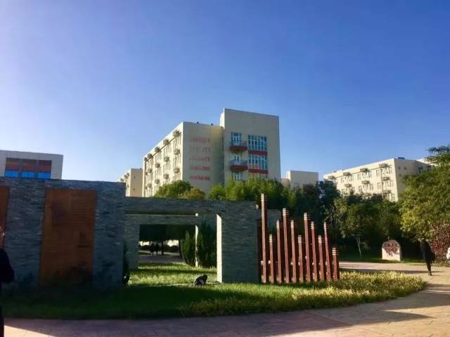 李洁 摄 市十二中 何婷 摄 洛阳外国语学校 焦琳 摄 市四十六中 钟丹