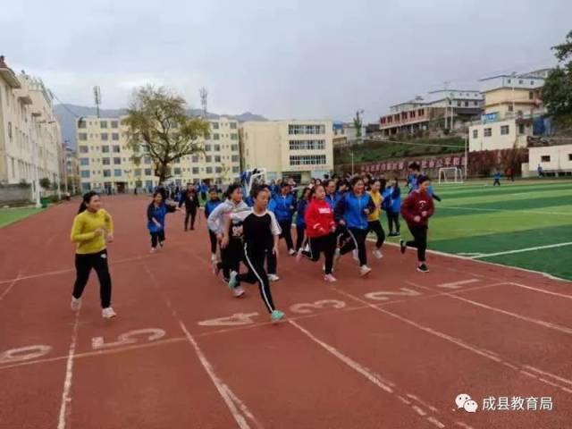 近日,成县一中,城关中学,东街小学,支旗小学,发生的件事.