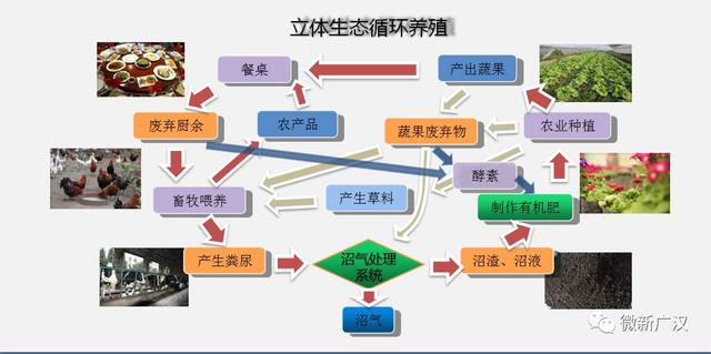 【one话题】生态种养结合田地超2万亩!广汉着力打造绿色发展"新引擎"