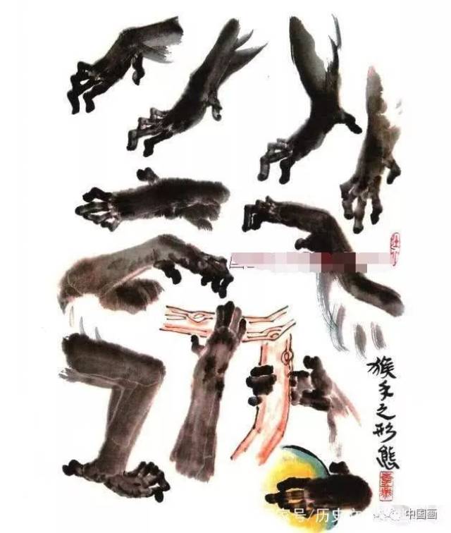 猴头形态 三,画猴步骤示范 1.《母子乐图》画法步骤 步