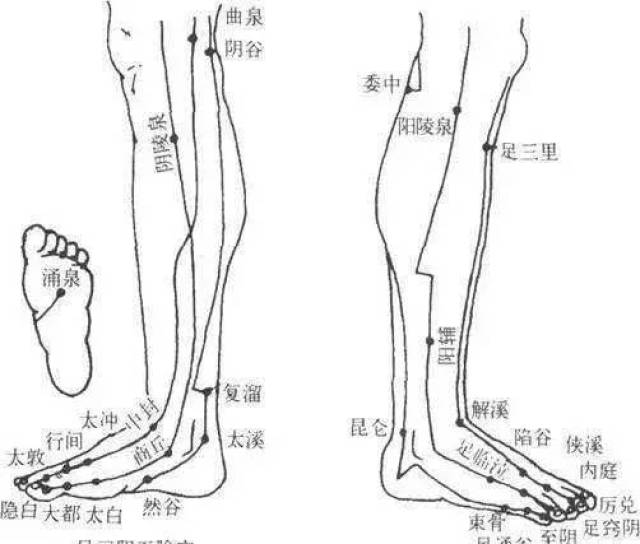 5,灸两腿(足三阴,足三阳)