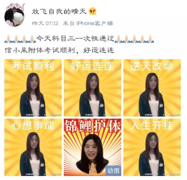 锦鲤是社交软件上的新型神明 在网友们看来 考试前转发锦鲤 逢考必过