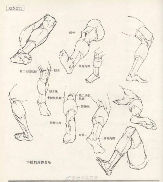 干货!人体形体结构的分析