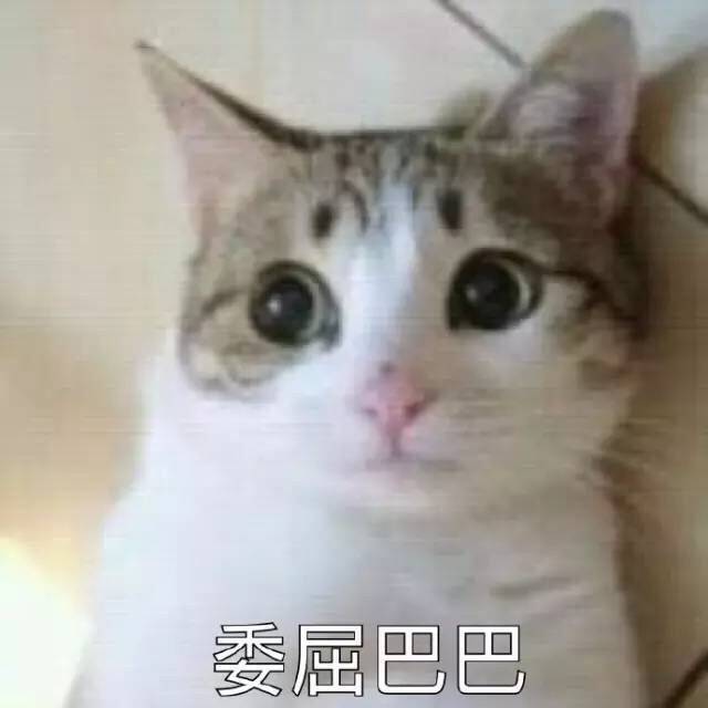 猫星人委屈巴巴的表情包