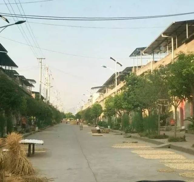 图 小白 导航搜索:巴南麻柳嘴镇南坪坝