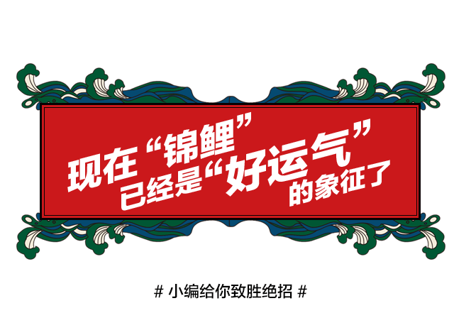 锦鲤附体 下一个中国锦鲤就是你