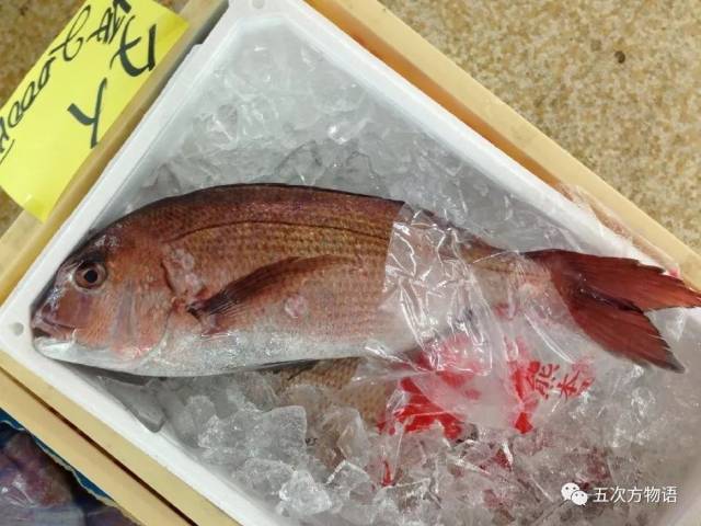 青岛十大最受欢迎海鱼