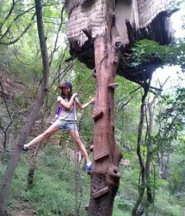 我是隔壁的泰山,抓住爱情的藤蔓。