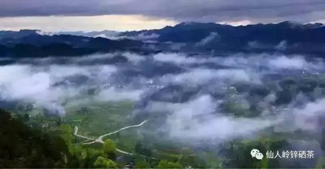 凤冈茶海之心景区"仙人岭"荣登全国森林康养试点建设基地光荣榜