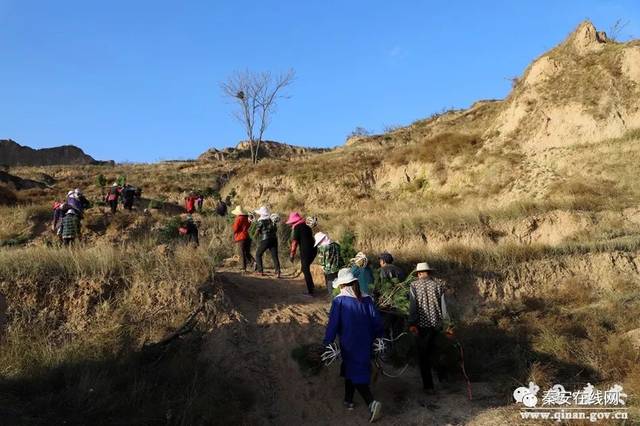 秦安兴国,刘坪两镇6村1.1万余人未来要发了.