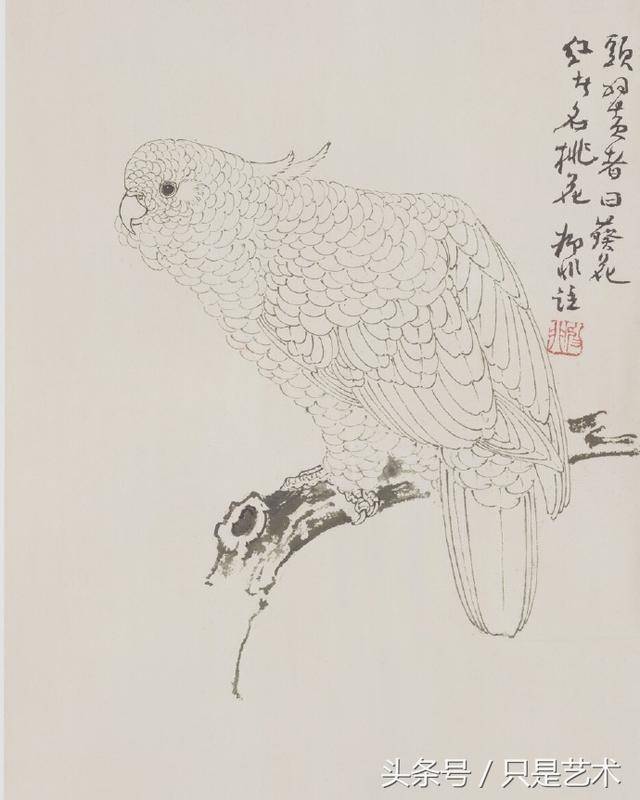 意韵悠长——陆抑非的白描花鸟