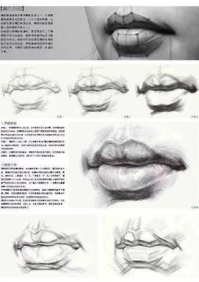 一切变化都要从体感出发 才能真正的把眼睛画好 嘴巴结构 嘴巴以m和w