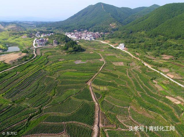 新田县被称为"中国天然富硒农产品之乡"