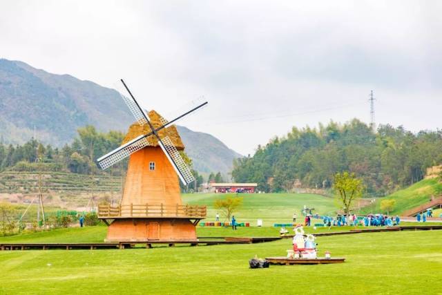 风车,奶牛,滑草场 花海,草坪,露营地 800米海拔的高山农场 云雾缭绕