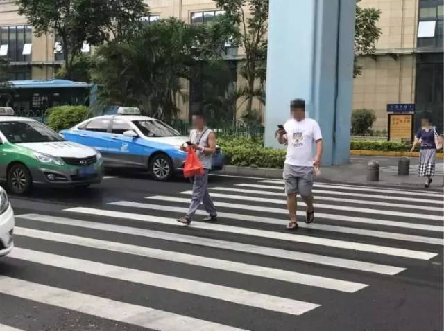 行人边玩手机边过斑马线 行人随意横穿,不愿走斑马线