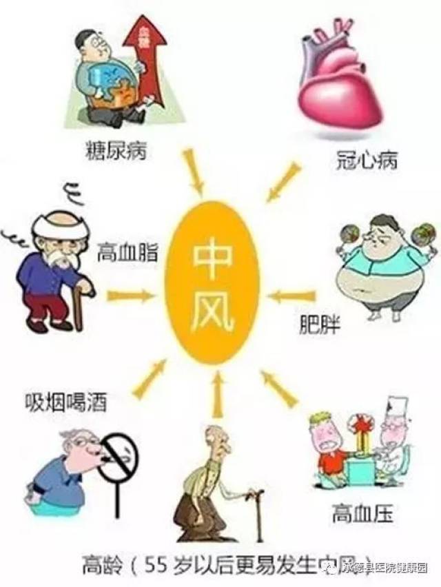 3.什么是脑卒中的二级预防?