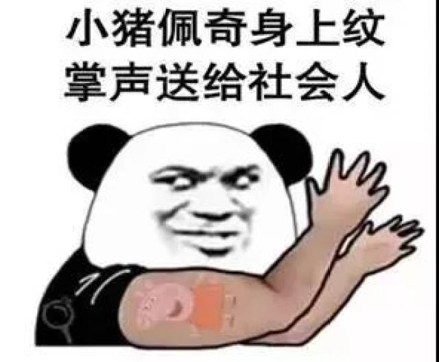 安排上了？skr？大猪蹄子？今年那么多奇奇怪怪多流行语中都有哪