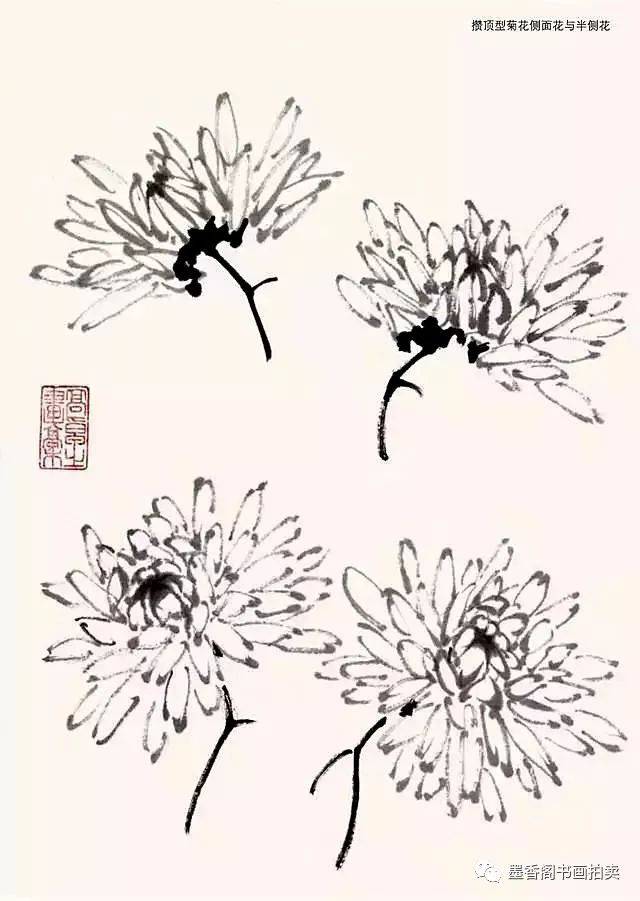 国画技法:写意菊花的画法及构图基本规律